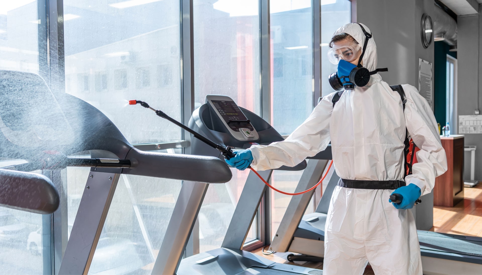 Commercial Mold Removal Services in Springfield