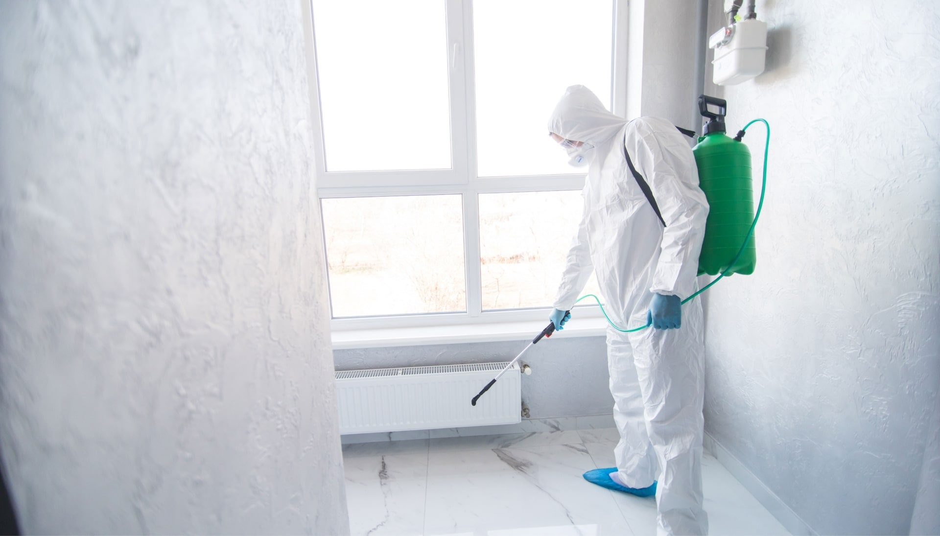 Mold Inspection Services in Springfield